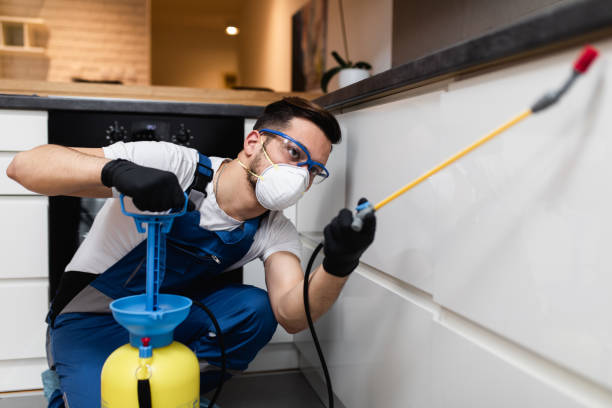 Best Mosquito Control Services  in Rosemont, CA