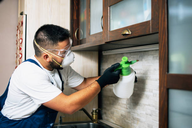 Best Best Pest Control Companies  in Rosemont, CA