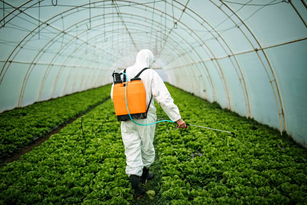 Best Pest Control Treatment  in Rosemont, CA