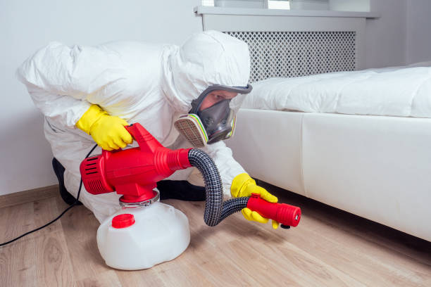 Best Ant Control Services  in Rosemont, CA