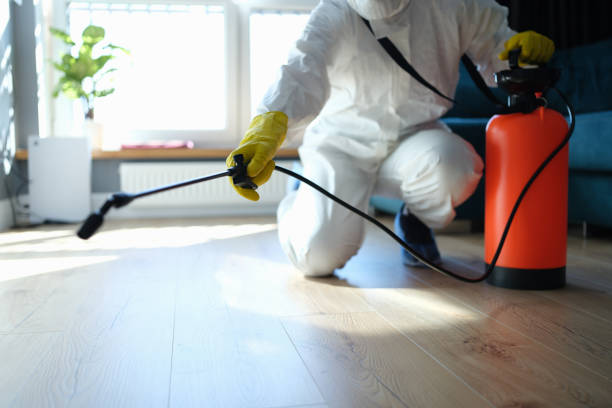 Best Pest Prevention Services  in Rosemont, CA
