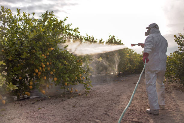 Best Pest Inspection Near Me  in Rosemont, CA